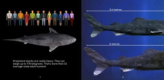 Sample content 3_All About Greenland Sharks