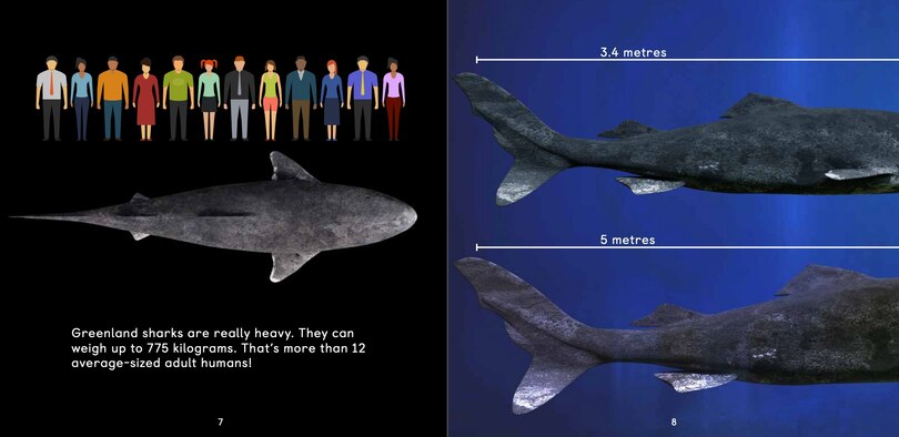 Sample content 3_All About Greenland Sharks