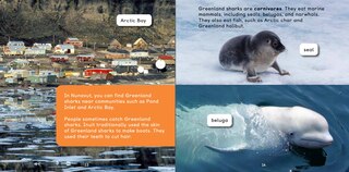 Sample content 4_All About Greenland Sharks