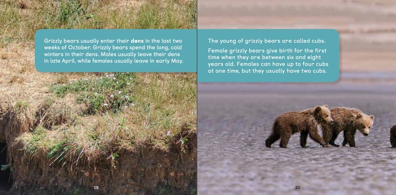 Aperçu du contenu 2_All About Grizzly Bears