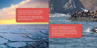 Sample content 3_All about Orcas