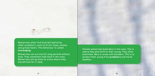 Sample content 3_All about Wolverines