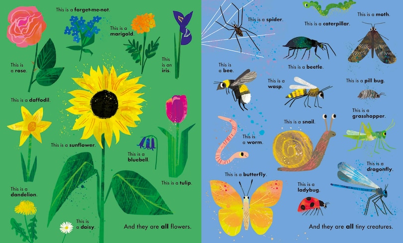 Aperçu du contenu_All Kinds of Things