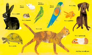 Aperçu du contenu 4_All Kinds of Things