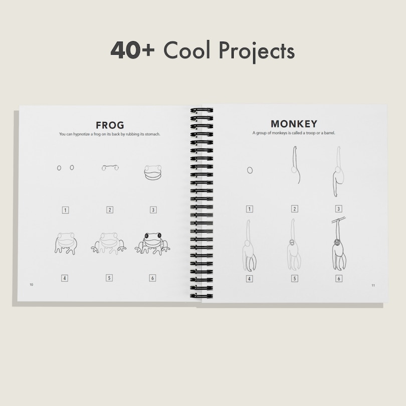 Aperçu du contenu 3_All the Animals: How to Draw Books for Kids with Dogs, Cats, Lions, Dolphins, and More