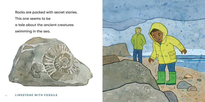 Aper&ccedil;u du contenu 3_All the Rocks We Love