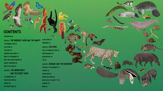 Sample content_All The Way Down: Amazon Rainforest