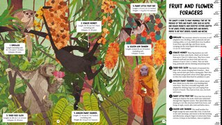 Sample content 3_All The Way Down: Amazon Rainforest