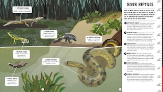 Sample content 5_All The Way Down: Amazon Rainforest