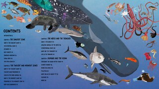 Sample content_All The Way Down: Ocean