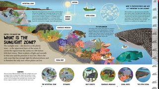 Sample content 2_All The Way Down: Ocean
