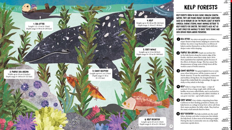 Sample content 3_All The Way Down: Ocean