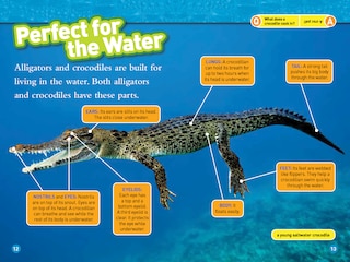 Sample content 2_Alligators and Crocodiles (National Geographic Kids Readers, Level 2)