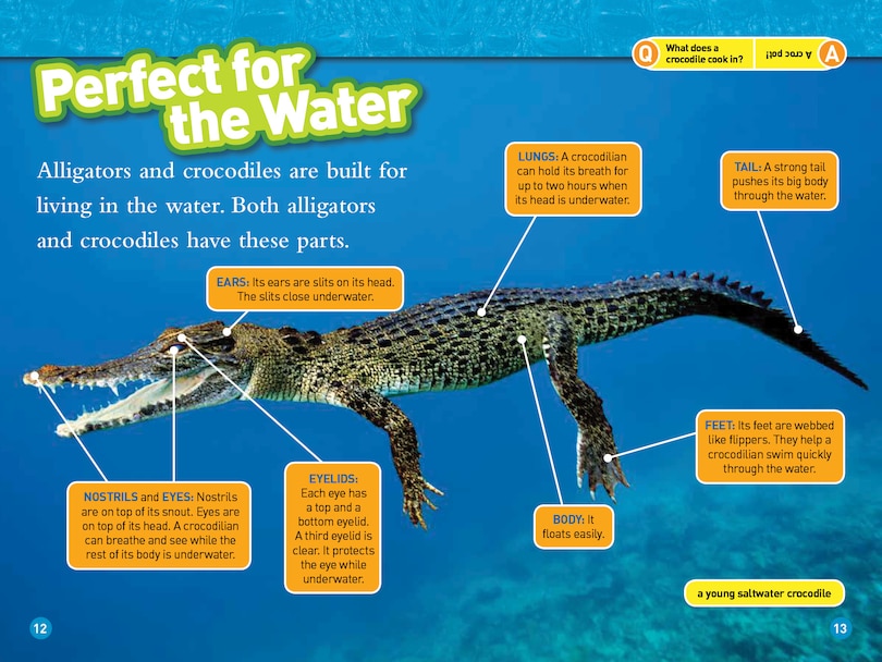 Sample content 2_Alligators and Crocodiles (National Geographic Kids Readers, Level 2)