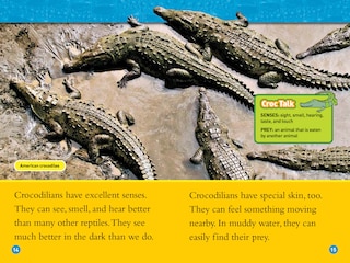 Sample content 3_Alligators and Crocodiles (National Geographic Kids Readers, Level 2)