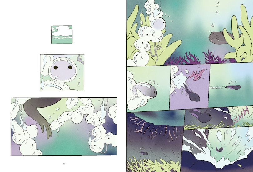 Sample content_Alyte