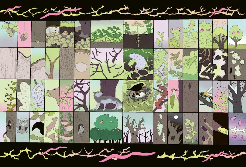 Sample content 5_Alyte