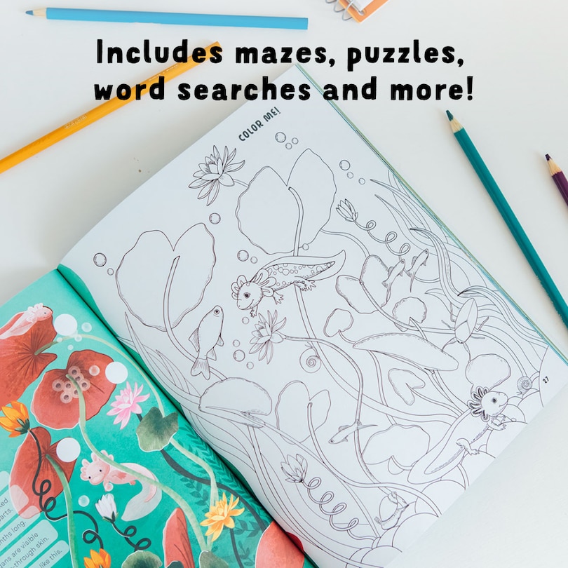 Sample content_Amazing Axolotls