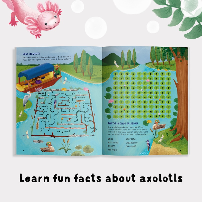 Sample content 4_Amazing Axolotls