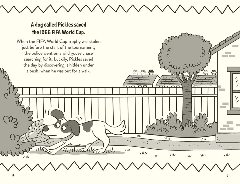 Aperçu du contenu 2_Amazing Football Facts Every 9 Year Old Needs to Know