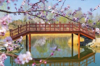 Sample content 2_Amazing Gardens