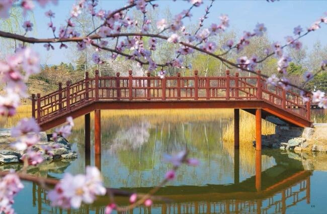 Sample content 2_Amazing Gardens