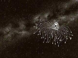 Sample content 4_Amazing Jellyfish