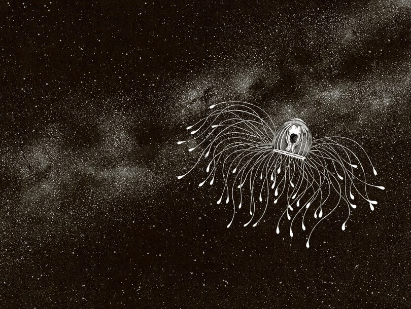 Sample content 4_Amazing Jellyfish