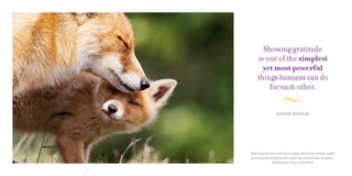 Aperçu du contenu 5_Amazing Moms