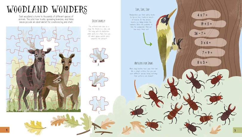 Aper&ccedil;u du contenu 2_Amazing Nature Activity Book