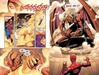 Sample content 3_Amazing Spider-Man: Torn