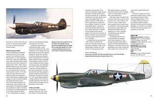 Sample content 2_American Fighter Aircraft of World War II