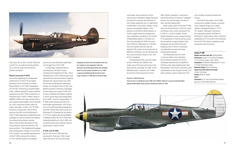 Sample content 2_American Fighter Aircraft of World War II