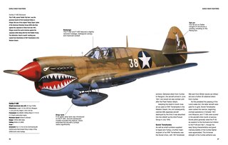 Aper&ccedil;u du contenu 3_American Fighter Aircraft of World War II