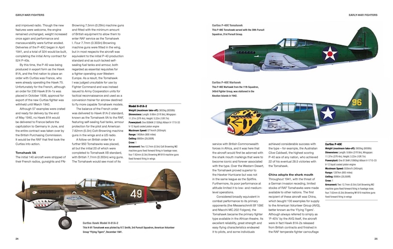 Aper&ccedil;u du contenu 4_American Fighter Aircraft of World War II