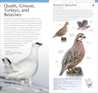 Sample content_Amnh Pocket Birds Of North America Eastern Region