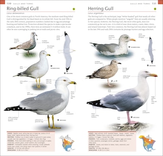 Sample content 3_Amnh Pocket Birds Of North America Eastern Region