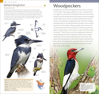 Sample content 4_Amnh Pocket Birds Of North America Eastern Region