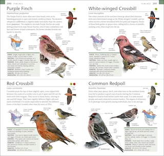 Sample content 5_Amnh Pocket Birds Of North America Eastern Region