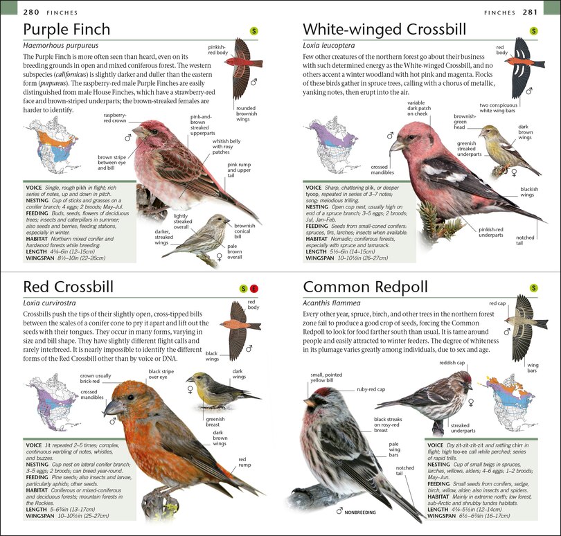 Sample content 5_Amnh Pocket Birds Of North America Eastern Region