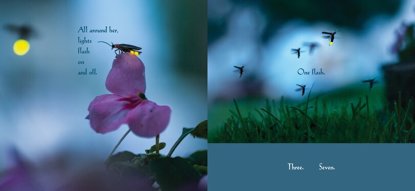 Sample content_Among A Thousand Fireflies