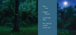 Sample content 2_Among A Thousand Fireflies