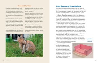 Sample content_An Absolute Beginner's Guide to Keeping a Pet Rabbit