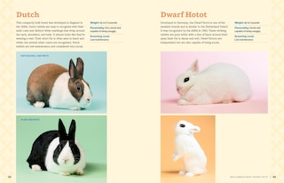Sample content 3_An Absolute Beginner's Guide to Keeping a Pet Rabbit