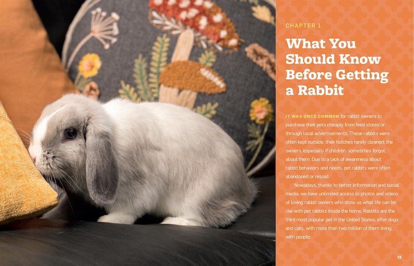 Sample content 4_An Absolute Beginner's Guide to Keeping a Pet Rabbit