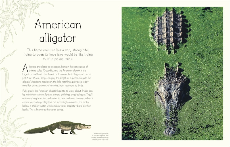 Aper&ccedil;u du contenu 2_An Anthology of Aquatic Life