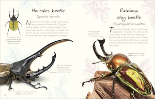 Sample content 3_An Anthology of Beetles