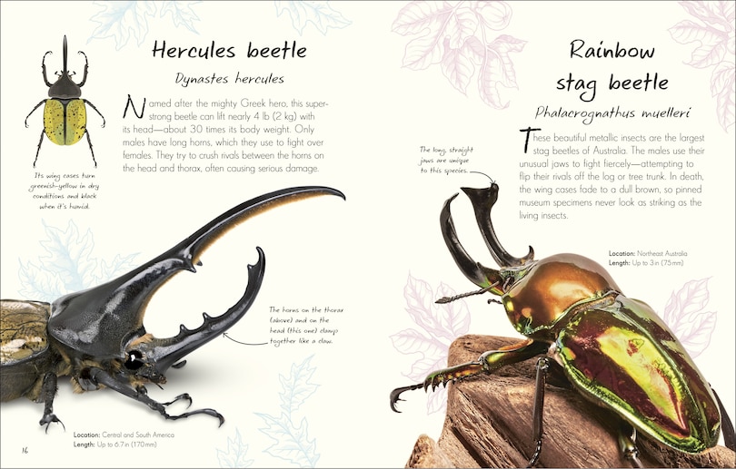 Sample content 3_An Anthology of Beetles
