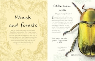 Sample content 4_An Anthology of Beetles