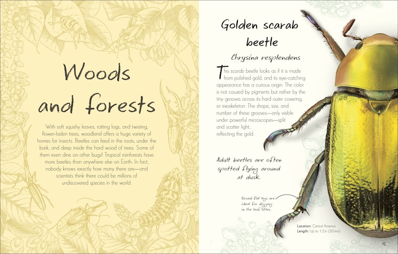 Sample content 4_An Anthology of Beetles